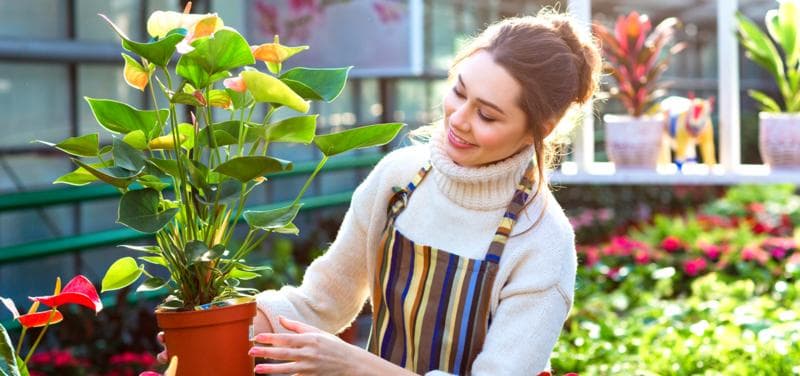 ISS_TR_Plant_care