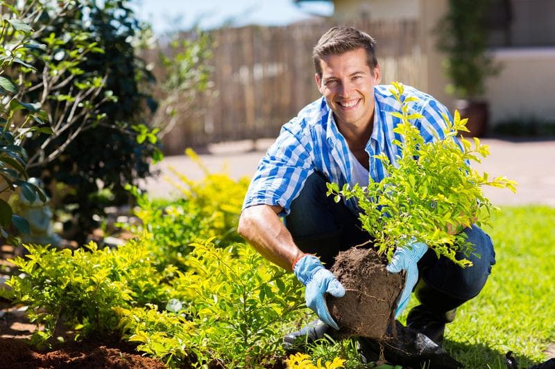 ISS_TR_Plant_Care2