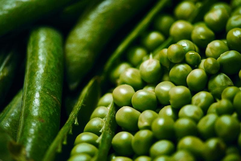 Denmark_Catering_Vegetables_2017_15
