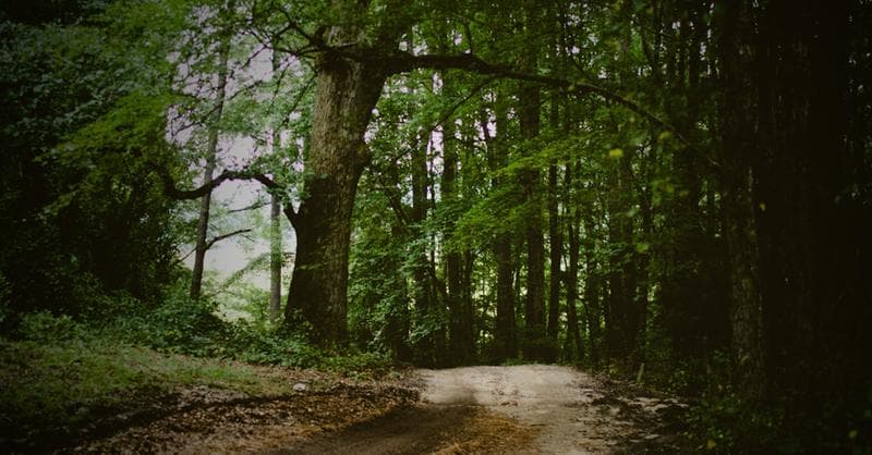 Reduce the environmental impact of your business